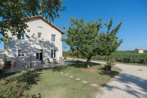 Image of Gite Clos L'eglise - Puisseguin