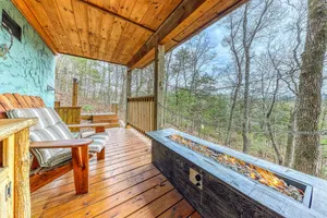Image of Cozy cabin w\/wooded view, close to amenities + free attraction tickets