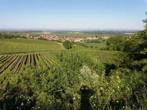 Image of Ferienwohnung Lingenfelder