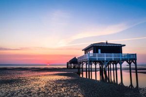 Image of OHA WEST - On the Arcachon basin, between the Pyla dune and Cap ferret