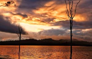 Image of Tablelands Tranquil Retreat