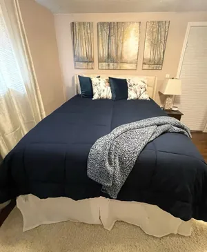 Image of Cozy Studio Guest Suite
