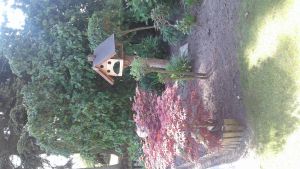 Image of Moin and welcome, we offer our ground floor apartment!
