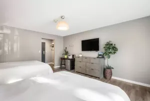 Image of Modern Room Near Indoor Pool