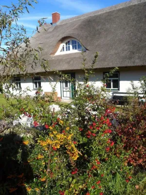 Image of Reetdachhaus am Haff