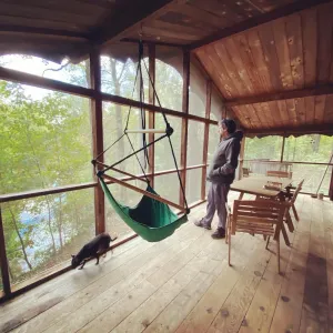 Image of Secluded Cozy Cedar Wood Cabin in 20 acres of native woods, on the Paw Paw river