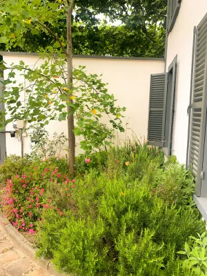 Image of Cosy loft in Saint-Maur-des-Fossés