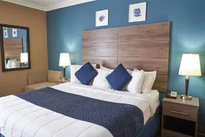 Image of King Bed Standard View