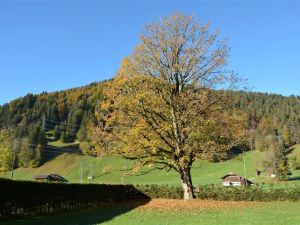 Image of Apartment Oberland Nr- 3 by Interhome
