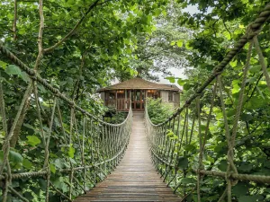 Image of Wake up to birds chattering amongst the trees and panoramic views of the leafy surrounds.