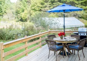 Image of Creekside Cottage Near Floyd, VA, and Blue Ridge Parkway with deck and gas grill