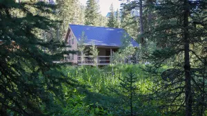 Image of Silver Willows Ursa Cabin on 4 Acres by the Creek