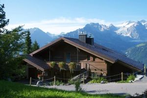 Image of Ferienwohnung Chalet Häsi