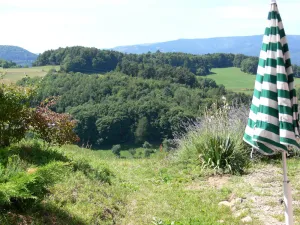 Image of Quiet gîte in the Ballons des Vosges regional nature park