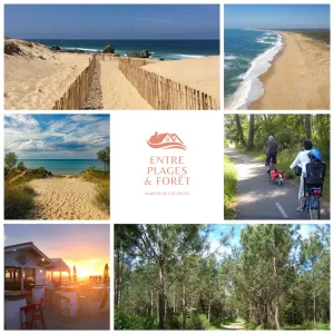 Image of Maison Écologique Entre Plage et Forêt