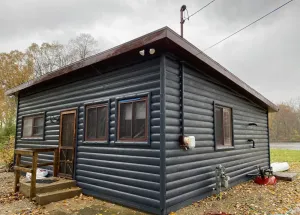 Image of Perfect getaway! Modern, rustic cottage on the St. Joseph River.