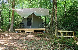 Image of 100 Acre Whispering Woods