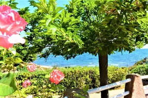Image of MINI-VILLA  CANELLA No. 2 - THE WATERFRONT- 3 pers