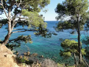 Image of Apartment 4 Rooms 90 m² + Terrace. Sleeps 5