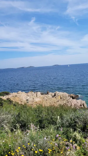Image of EN PROVENCE Les Marronniers Six-Fours-les-Plages \/10 min from the beach 4-room