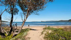 Image of Oasis - Family Friendly Umina Beach
