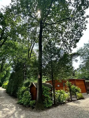 Image of Houten chalet op 5 sterren park met Zwembad