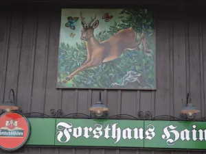 Image of Restaurant & Pension Forsthaus Hain