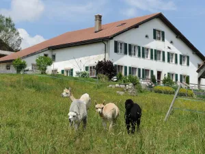 Image of Ferme O'Clés