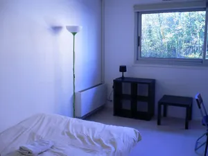 Image of Neat and comfortable apartment.