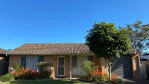 Image of The Olive - Family & Pet Friendly