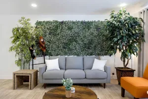 Image of Weber · Jungle House, minutes away from ASU\/ Old Town