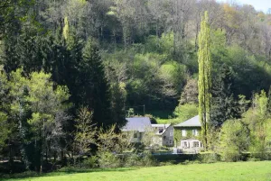 Image of Gite on the edge of the Arac in a green setting with swimming pool
