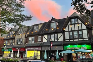 Image of Swarthmore's Iconic 5BR Gem on Park Ave in the Heart of Town Center!