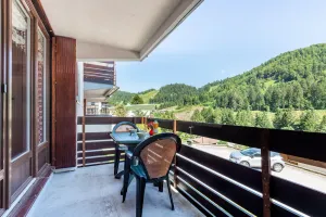 Image of Le Montagnard