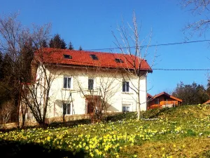 Image of Apartment in independent house, quiet, Gérardmer