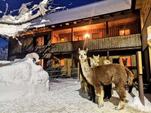 Image of Ferienwohnung in Wald am Arlberg