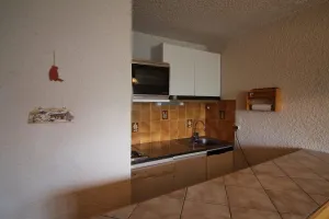 Image of 250m from resort center, 2nd floor, view mountain, balcony, tv, ski locker, 35m², Auris en Oisans