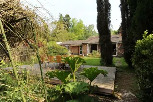 Image of Large cottage Amazing location! Family group or friends up to 24 people!
