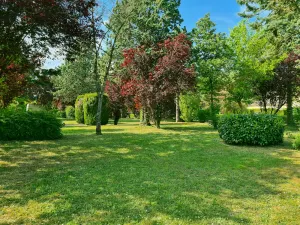 Image of Electrified Camping Pitch