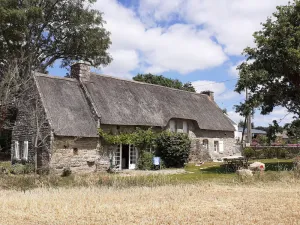 Image of Chaumière en Cours de Rénovation à la Campagne
