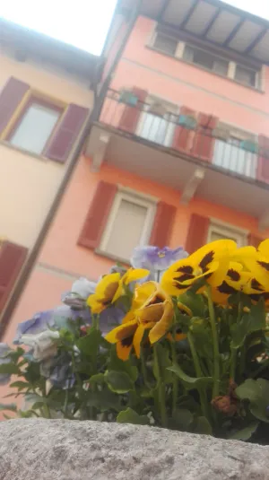 Image of Fairy housing unit at 10 minutes drive from Lugano