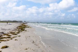 Image of Friendly Native Retreat: 2BD|1BR| Walk to Beach!