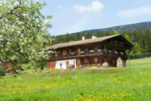 Image of Holiday house Arnbruck for 10 persons with 5 bedrooms - Holiday apartment in one or multi-family hou