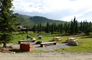 Image of Denali Wildlife Caribou Cabin Luxury with a touch of Rustic..