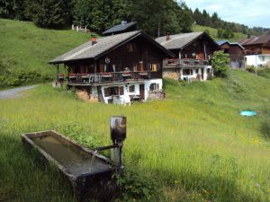 Image of In the middle of the skiing and hiking area Bödele