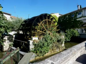 Image of Lodging in the heart of the Luberon, in the countryside