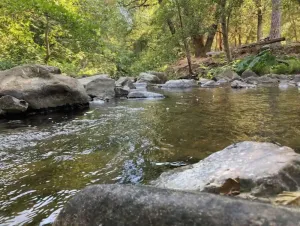 Image of The Creek House in the heart of gold country