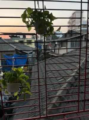 Image of Bazaar house!