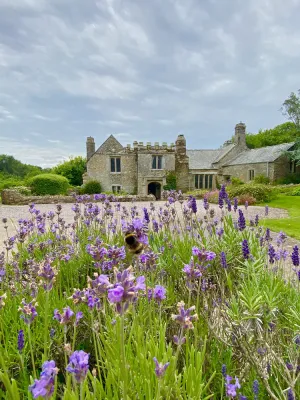 Image of Beautiful apartment within Grade 1 listed Manor House