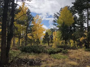 Image of Graduation Weekend Special May 8-11 at Quartz Point Ranch! 20 acres to roam!